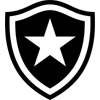 Botafogo U20