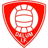 Dalum IF