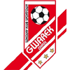 Gwarek Zabrze U19