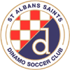 St Albans Saints