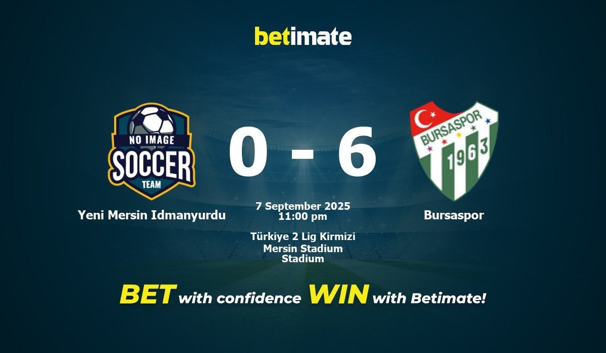 Bursaspor visual data 4