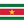 Suriname U20