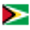 Guyana Elite League