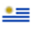 Uruguay Copa de la Liga