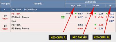 Cược 1x2 là gì? Chia sẻ kinh nghiệm chơi kèo châu Âu