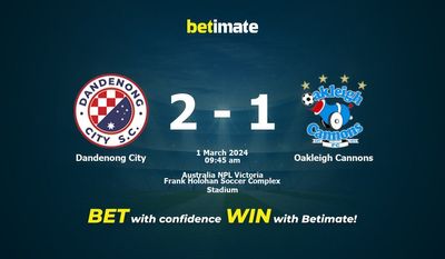Dandenong City vs Oakleigh Cannons Forudsigelse, odds og væddemål 03/01/2024