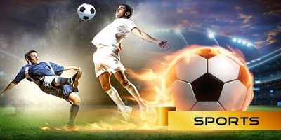 Nhà Cái Trực Tuyến: Điểm Đến Đa Năng Cho Cá Cược Thể Thao & Casino