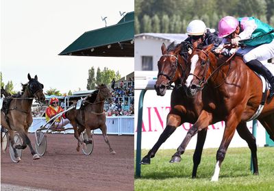 Quelles sont les différences entre le trot et les courses hippiques classiques