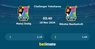 Matej Dodig vs Nikoloz Basilashvili Prediction, Tennis Odds & Betting Tips 18/11/2024