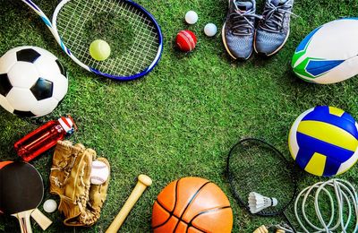 What Are The Best Sports To Bet On?