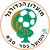 Hapoel Kfar Saba