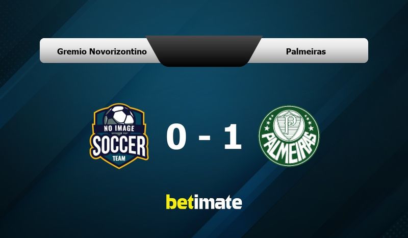 Novorizontino X Palmeiras